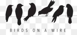 Bird Silhouette Png Flying Bird Silhouette Cute Bird Silhouette Bird Silhouette Tattoo Mockingbird Silhouette Flying Bird Silhouette Tattoo Cleanpng Kisspng Download this free vector about silhouette, color and outline version of birds, and discover more than 11 million professional graphic resources on freepik. bird silhouette png flying bird
