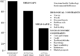Yield Profit And Knowledge Gaps In Rice Farming Causes And Development Of Mitigation Measures V Balasubramanian M Bell And M Sombilla