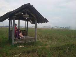 Si jilbab kurus ku ewe foto gadis desa ngentot di gubuk sawah | foto bugil 2016 jilbab cantik ciuman di taman streaming xxx abg smp ngentot di. Iklan Facebook Penuhi Pusat Peninjauan Iklan Di Akun Adsense