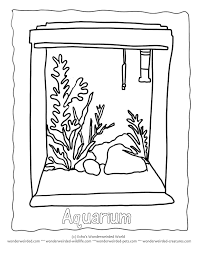 Georgia aquarium is a nonprofit committed to inspiring awareness and preservation of our ocean and aquatic animals worldwide. Fish Tank Coloring Page Coloring Home