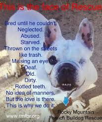 A denver woman faces animal cruelty charges after dozens of dogs were rescued from her residence. Rocky Mountain French Bulldog Rescue Reviews And Ratings Boulder Co Donate Volunteer Review Greatnonprofits