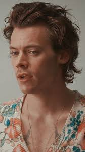 ˏˋ 𝐡𝐚𝐫𝐫𝐲 ˎˊ˗