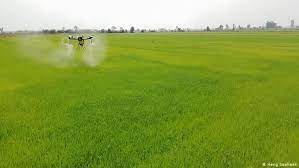 Crop Dusting Drones Making Work Safer And Easier For Farmers Science In Depth Reporting On Science And Technology Dw 21 02 2020