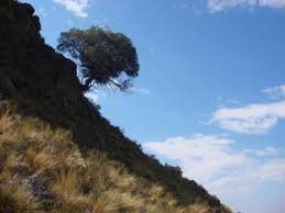 Ciudades Co Villa Mercedes Argentina San Luis Visita De La Ciudad Mapa Y El Tiempo