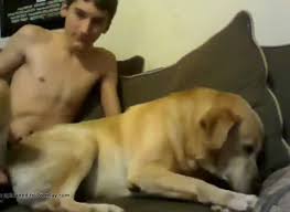 Ici seulement du x taboo. Boy And Dog Pt 1 Gay Beast Com Zoophilia Sex Movie With Dude Extrem Sex And Taboo Porn