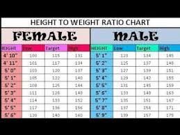 Videos Matching Male Height 26amp Weight Chart This Is