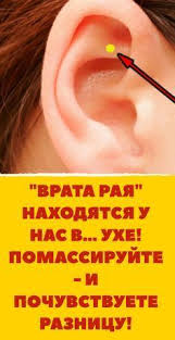 vrata raya nahodyatsya u nas v uhe pomassirujte i pochuvstvuete raznicu akupressura zdorove biologicheski aktivnye tochki