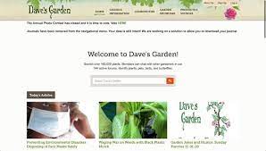 Informative and beautiful gardening sites are hard to find. 37 Best Gardening Websites Blogs To Become A Garden Expert