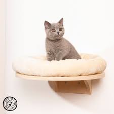 Quality l size pet dog cat calming bed comfy shag fluffy 65cm dia pink. Natural Paradise Wall Mounted Cat Bed Zooplus