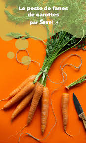 Comment Cuisiner Les Fanes De Carottes Save Eat Recette Carotte Fane Carotte Comment Cuisiner