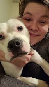 This is Pearl. Shes been missing from Ironton MO for over a month. If  anyone sees/has this dog please contact me. She is solid white, two  different color eyes, and has some