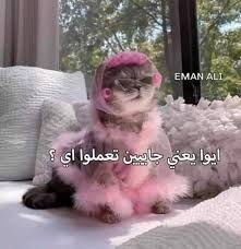 Image result for tbn:pp7gQVtVpU65xM::www.al-amakn.net/up2/uploads/f8c80490bc.jpg