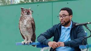 Printed, this my new glasses contend with the soft closed bag that doubles as a lens cleaner, safe in the pocket. America S Best Contacts And Eyeglasses Tv Commercial Back And Forth Ispot Tv