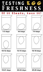 how can i tell if an egg has gone bad