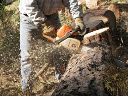Purchasing firewood all the time can get pricey, especially in the autumn and winter months when the temperatures drop and our need to warm. Firewood Rounds Photos Free Royalty Free Stock Photos From Dreamstime