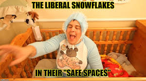 Liberal Snowflake - Imgflip