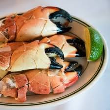 Chill at least 30 minutes, or until ready to serve. Stone Crab Sauce Recipe By The Sea Realty