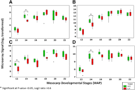 Ah wah tong is process engineer at malaya acid works sdn. Differential Gene Expression At Different Stages Of Mesocarp Development In High And Low Yielding Oil Palm Bmc Genomics Full Text