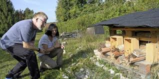 So schützen Isteiner bedrohte Pflanzen und Tiere