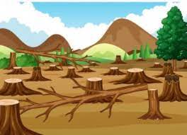 La reforestación es la consecuencia de la deforestación que, según la organización de las naciones unidas para la alimentación y la agricultura, es una completa eliminación de árboles. Dibujos De La Deforestacion Deforestacion Net