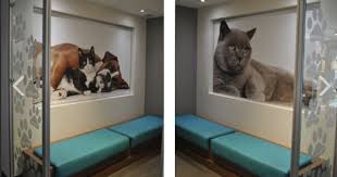 Pin De Denizhan Akcelik Em Veterinaire Clinica Veterinaria Canil Cao E Gato