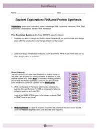 Watch this quick help video to get started on activity b. Gizmos Rna Protein Synthesis Lab Rna Translation Biology