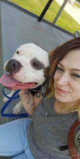 Help me find my baby boy please! He's a service dog and very well trained.  My ex put him outside unattended while I was asleep and I never saw him  again. I