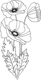 Voir plus d'idées sur le thème coquelicots rouges, coquelicots, fleurs. Un Bouquet De Coquelicots Ou Pavots Bouquet De Coquelicots Coquelicot Dessin Coquelicots Peinture