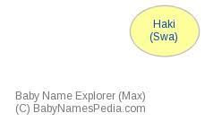 Haki Meaning Of Haki What Does Haki Mean