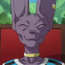 We would like to show you a description here but the site won't allow us. Beerus Icons Explore Tumblr Posts And Blogs Tumgir