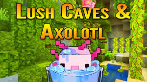 A cave filled with vegetation and lighting. Everything We Know About Minecraft 1 17 Lush Caves And Axolotl Minecraft 1 17 Cave Update Youtube