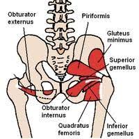 Pin On Fibromyalgia Me