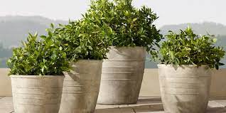 Maybe you would like to learn more about one of these? 32 Stylish Outdoor Planters To Perk Up Your Garden Or Patio Architectural Digest