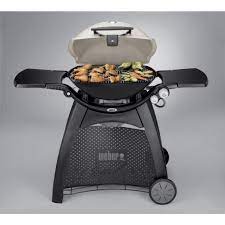 Weber Q3200 Portable Gas Grill Review Large Two Burner With Stand Gas Grill Reviews Grilling Gas And Charcoal Grill