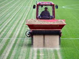 Rasen Sanden Tipps Zum Vorgehen Der Richtige Sand Rasen Rasen Erneuern Bienenfreundliche Pflanzen