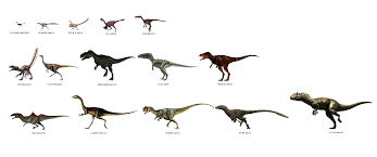 Size Comparison Of Dinosaurs Carnivorous Theropods