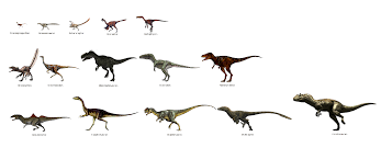 size comparison of dinosaurs carnivorous theropods