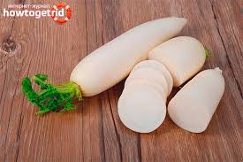 Namanya yang sudah tersohor sejak sebelum kemerdekaan lagi. Daikon Ciri Ciri Dan Kontraindikasi Yang Berguna