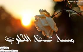 صور مساء الخير اجدد الصور مع كلمات مسائية جديدة متنوعة مداد الجليد flower wallpaper flowers ill stand by you