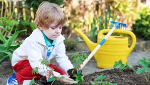 Mit kinderfreundlichen pflanzen die einfach und verständnisvoll gärtnerische sowie biologische vorgänge zum selbstlernen. Garten Fur Kinder Gestaltung Und Tipps Furs Bepflanzen Familienleben