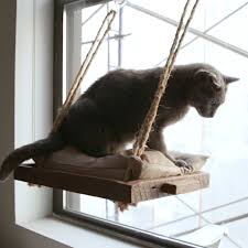 This diy cat window perch may make you feel impressive! Diy Cat Window Perch