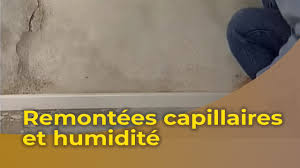 Une condensation excessive mène à une. Le Traitement Des Murs Contre Les Remontees Capillaires D Humidite Youtube