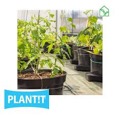 Plant T Gogro Passive Hydroponic System Flexitank