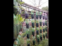 How to make a bottle tower garden. This Is Showing How I Made My Hanging Disposable Bottle Gardens I Didn T Use Any Power Tools So It Is Ve Bottle Garden Vertical Vegetable Gardens Tower Garden