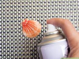 Place a small piece of masking tape on the spot on the shell where you will drill the hole. How To Clean And Polish Seashells 12 Steps With Pictures