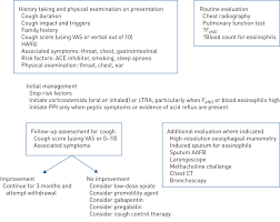 Ers Guidelines On The Diagnosis And Treatment Of Chronic Cough In Adults And Children European Respiratory Society