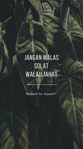 Wallpapers gambar meme lucu , wallpapers humor , wallpapers quote , wallpapers tokoh , sumber link download gambar : 3 Selamanya Kata Kata Indah Kata Kata Motivasi