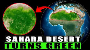 Image result for Sahara Tan 1970 Satellite