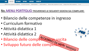 Neoimmessi Fotoguida Alla Realizzazione Del Portfolio Con Esempi Precisazioni E Faq Professionisti Scuola
