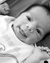 Mackay's adorable new residents